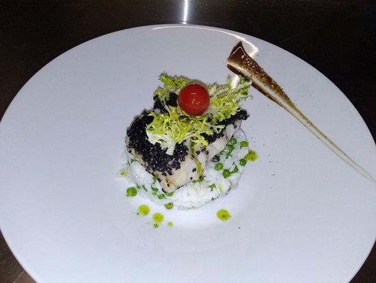 Cosina