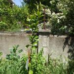 Chocolaterie du Pays de Saint Flour