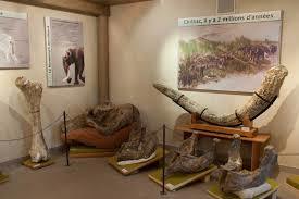 Musée de Paléontologie Christian Guth Chilhac