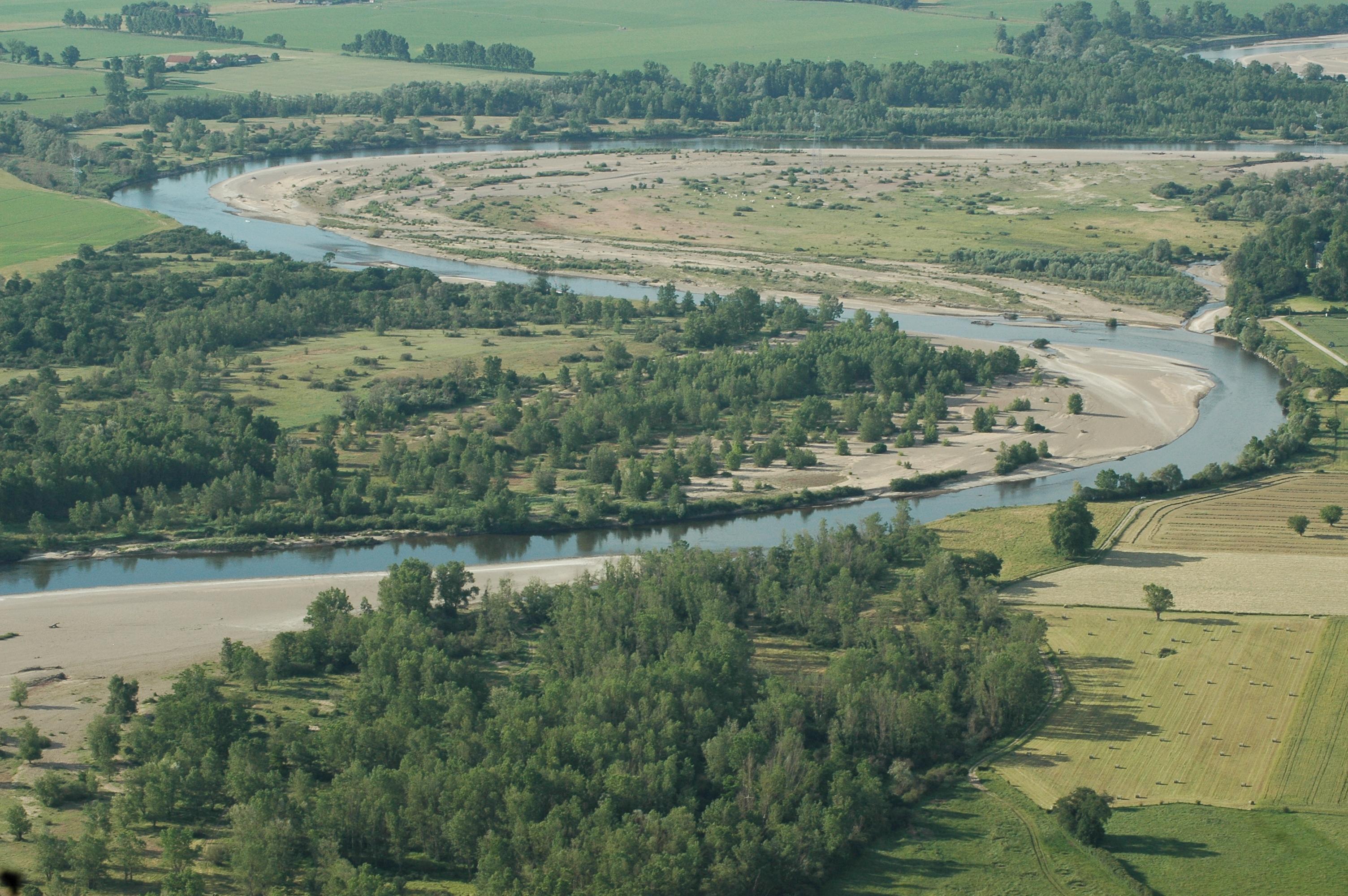 la réserve naturelle nationale du val d'Allier