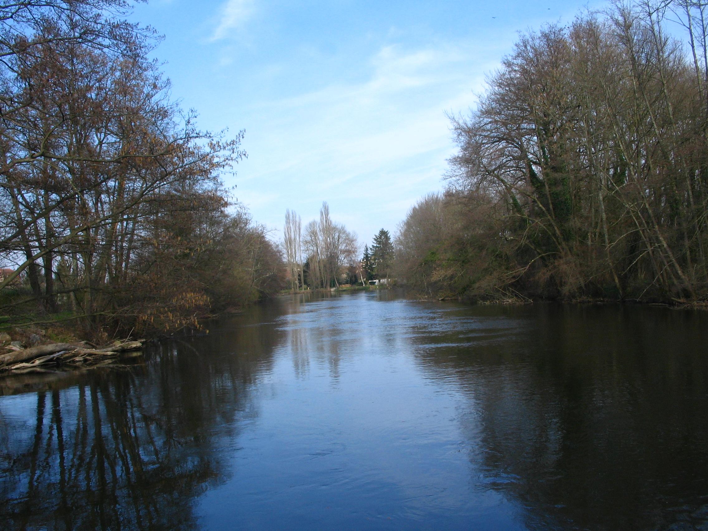 l'arboretum de l'Île de la Ronde