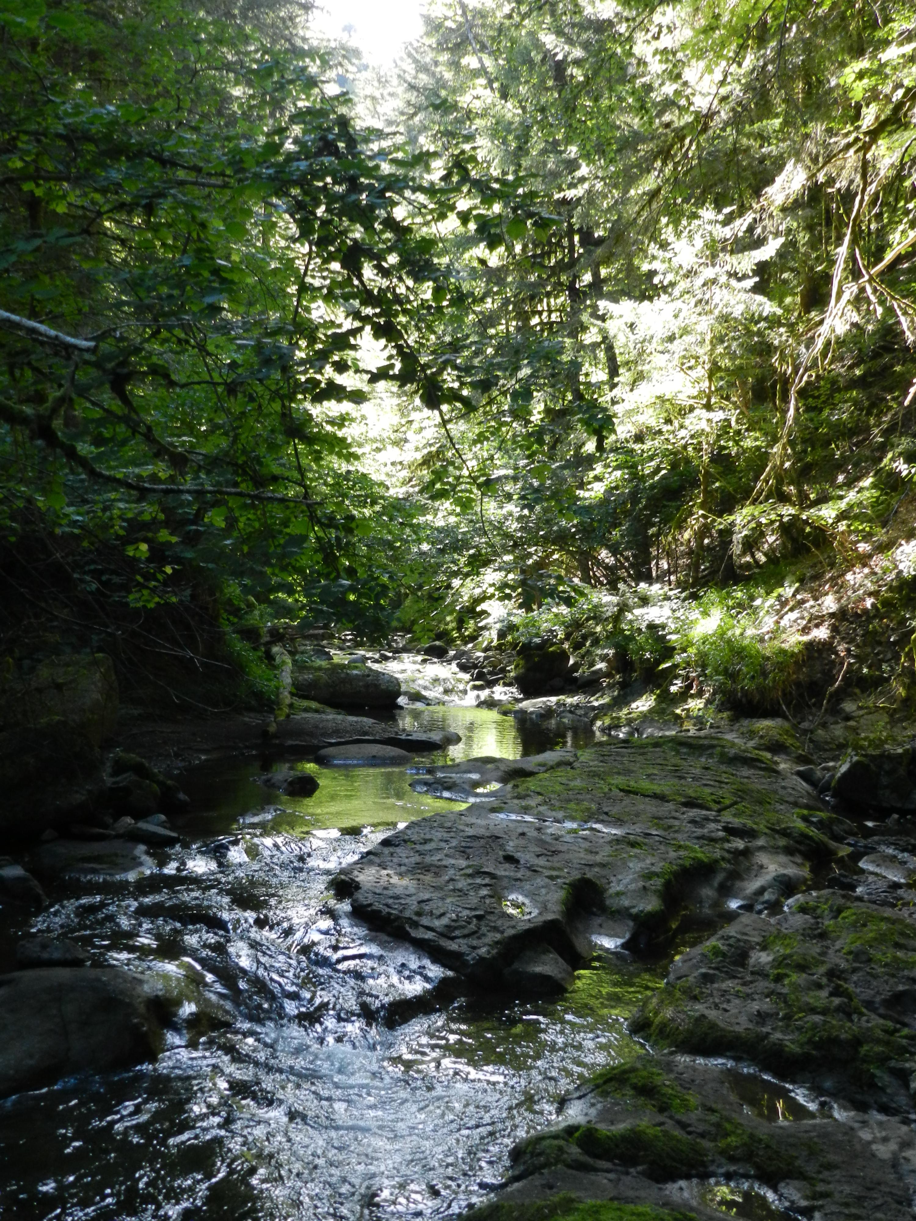 les Gorges de l'Alagnon