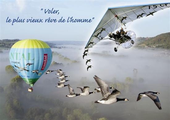 Voler Avec les Oiseaux