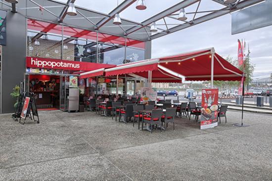 Hippopotamus Moulins